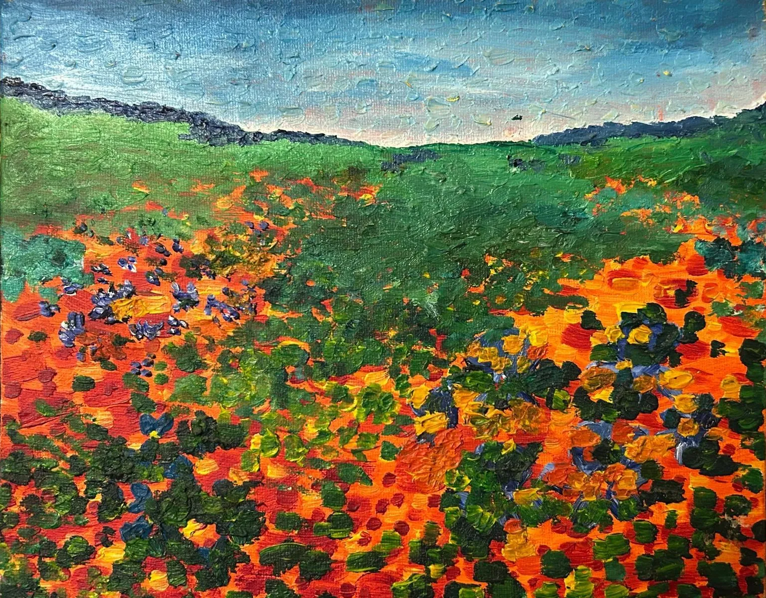 Carpet of Wildflowers